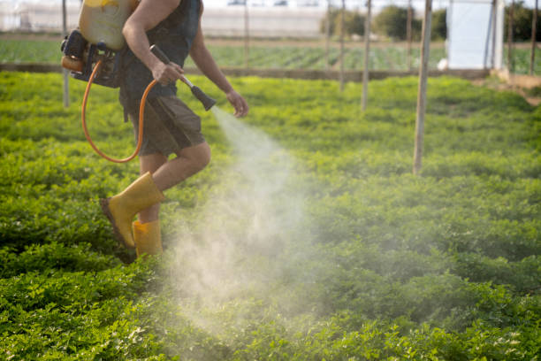 Best Mosquito Control Services  in York, NE