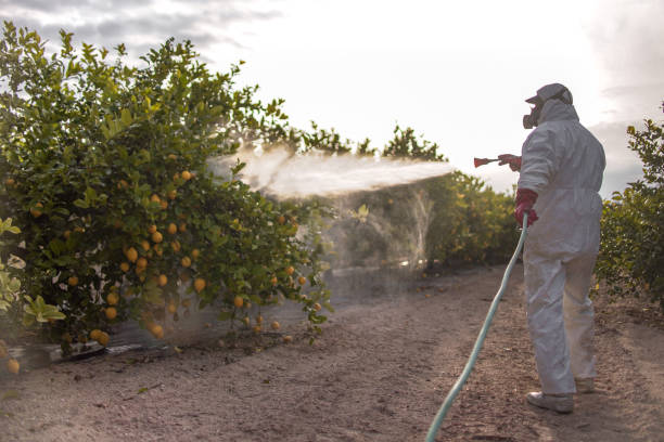 Reliable York, NE Pest Control Solutions