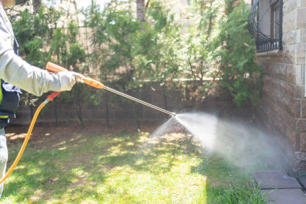 Best Affordable Pest Control Services  in York, NE